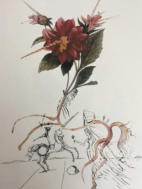 Salvadore Dali - Litografi 41x32 cm